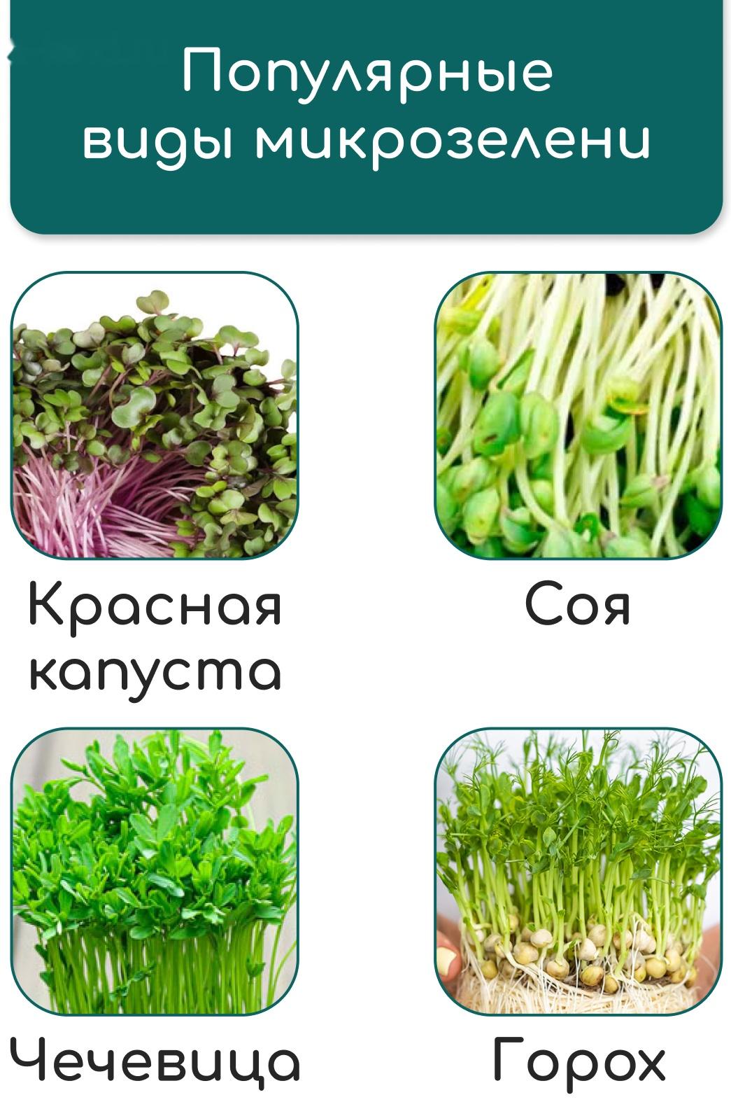 Коврик из кокосового волокна, для выращивания микрозелени, 50×25 см, Greengo