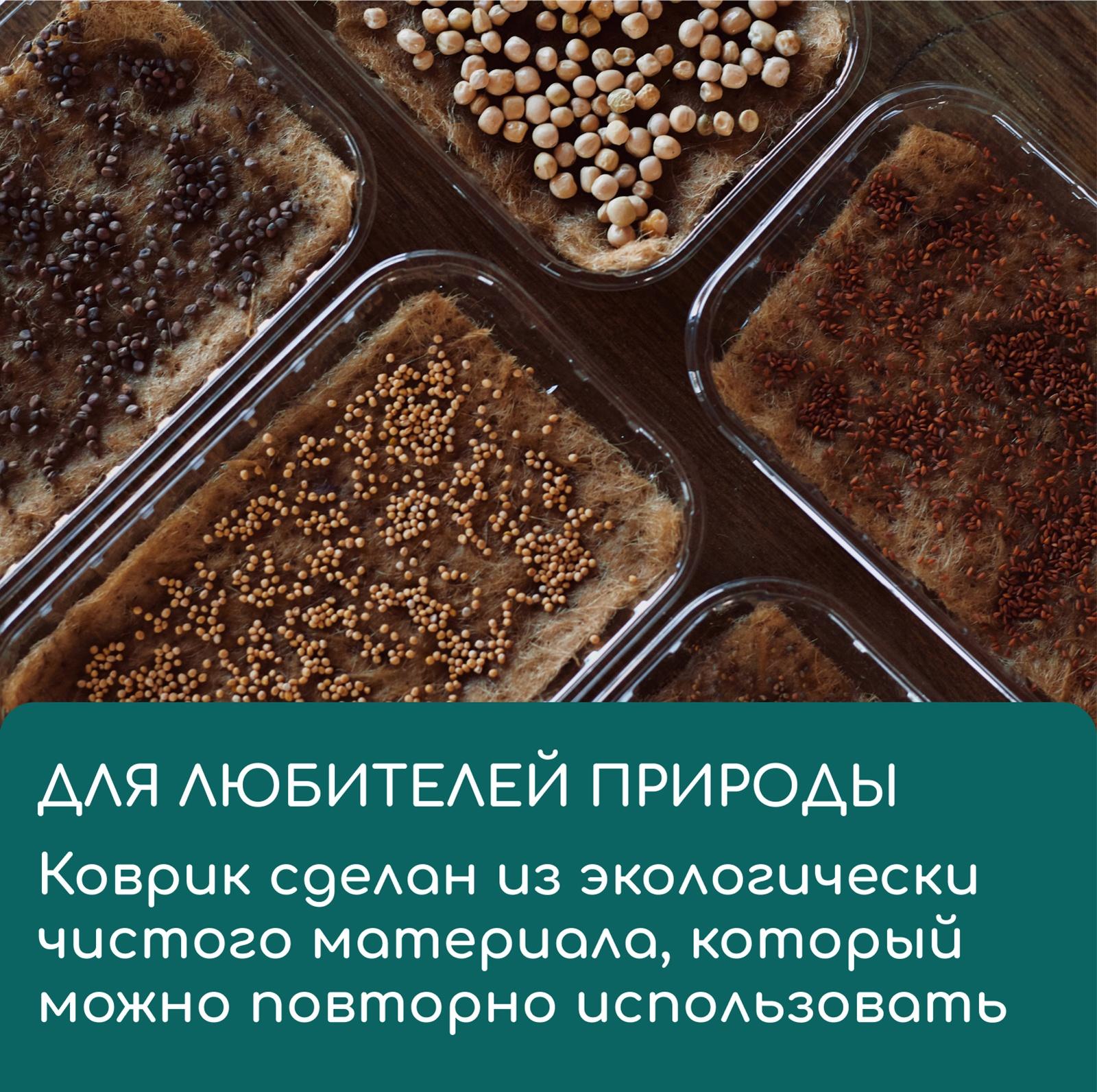 Коврик из кокосового волокна, для выращивания микрозелени, 50×25 см, Greengo