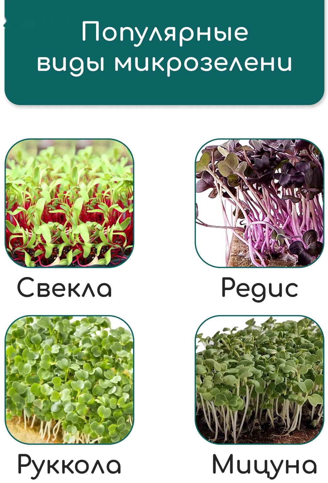 Коврик из кокосового волокна, для выращивания микрозелени, 50×25 см, Greengo