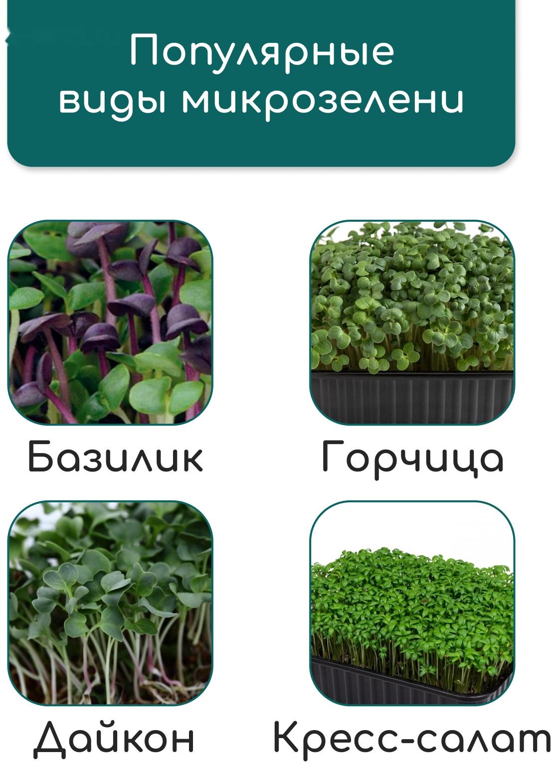 Коврик из кокосового волокна, для выращивания микрозелени, 50×25 см, Greengo