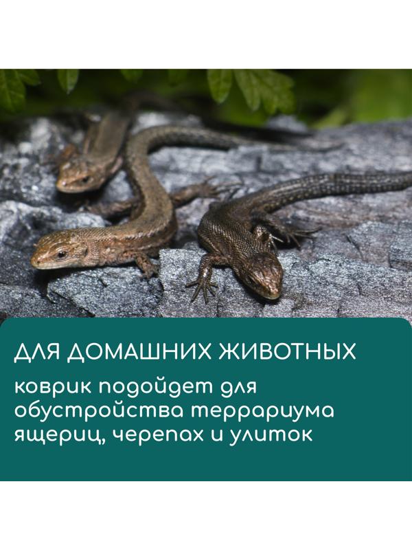 Коврик из кокосового волокна, для выращивания микрозелени, 50×25 см, Greengo