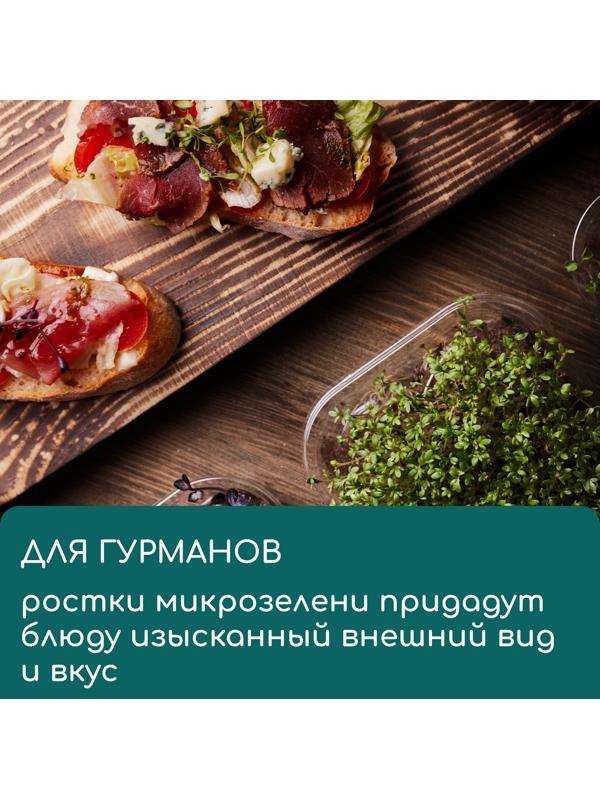 Коврик из кокосового волокна, для выращивания микрозелени, 50×25 см, Greengo