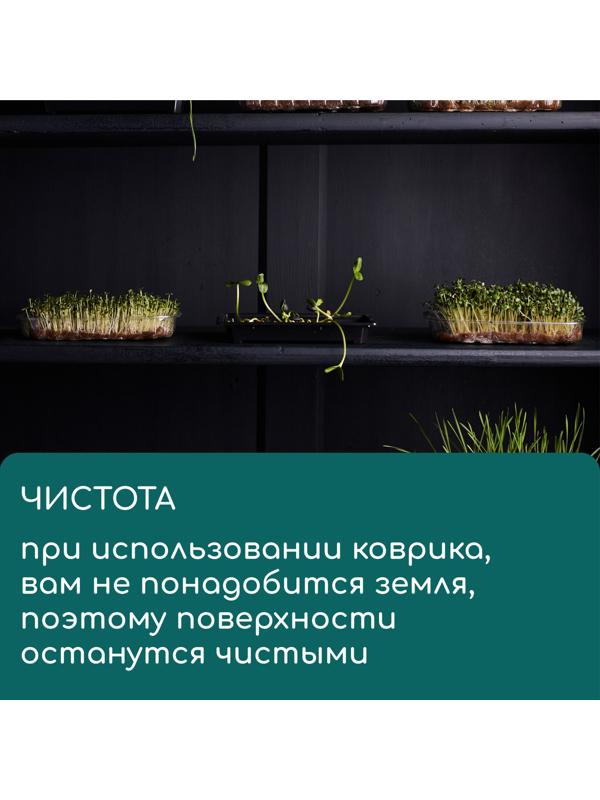 Коврик из кокосового волокна, для выращивания микрозелени, 50×25 см, Greengo