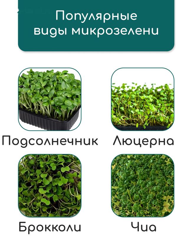Коврик из кокосового волокна, для выращивания микрозелени, 50×25 см, Greengo