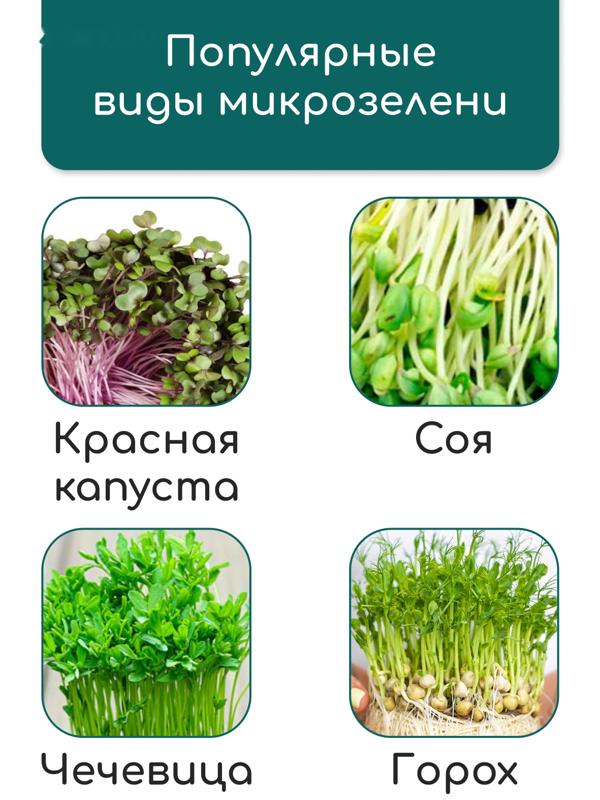 Коврик из кокосового волокна, для выращивания микрозелени, 50×25 см, Greengo