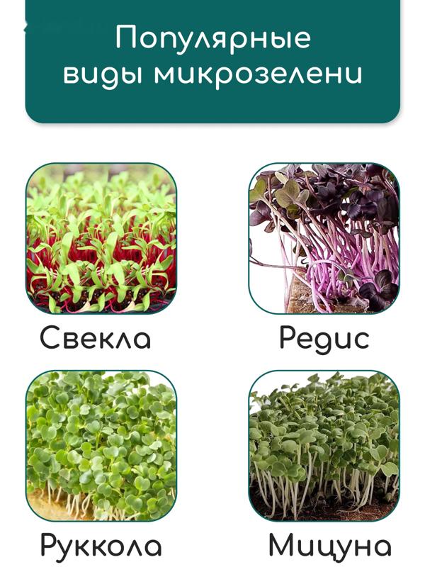 Коврик из кокосового волокна, для выращивания микрозелени, 50×25 см, Greengo