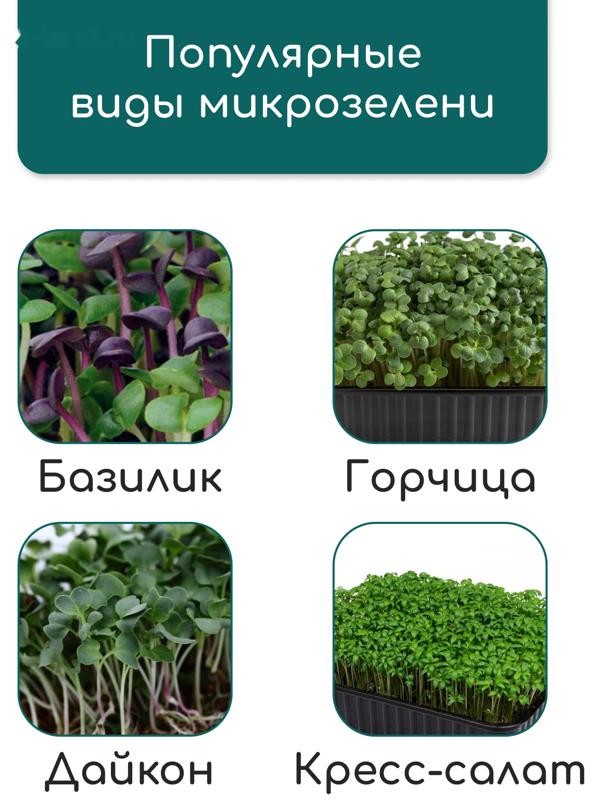 Коврик из кокосового волокна, для выращивания микрозелени, 50×25 см, Greengo