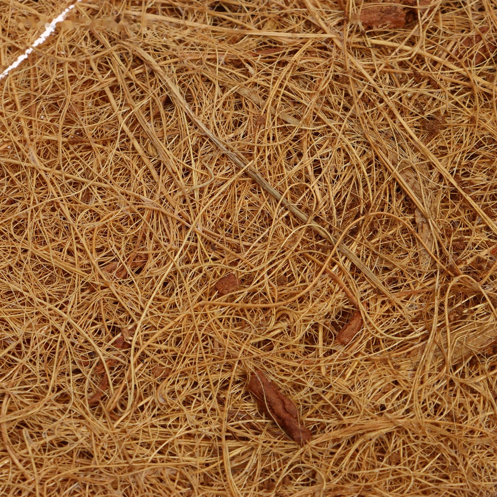 Круг приствольный, d=0.2 м, из кокосового полотна, Greengo