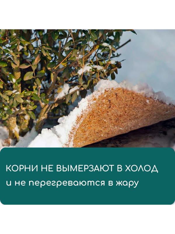 Круг приствольный, d=0.2 м, из кокосового полотна, Greengo