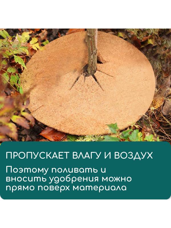 Круг приствольный, d=0.2 м, из кокосового полотна, Greengo