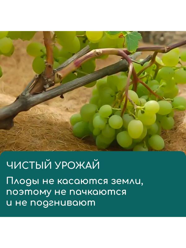 Круг приствольный, d=0.2 м, из кокосового полотна, Greengo