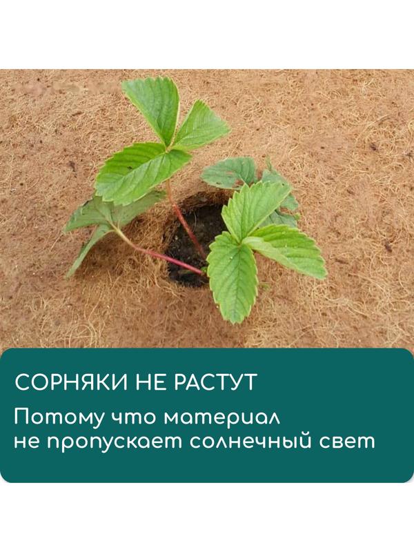 Круг приствольный, d=0.2 м, из кокосового полотна, Greengo
