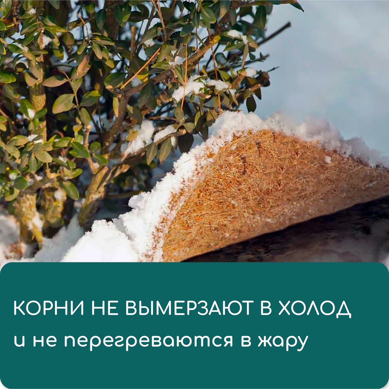 Круг приствольный, d=0.25 м, из кокосового полотна, Greengo