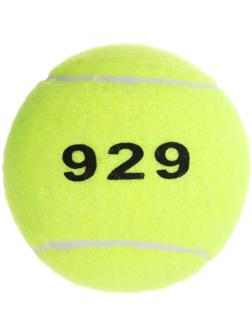 Набор мячей для большого тенниса ONLYTOP № 929, тренировочный, 3 шт.