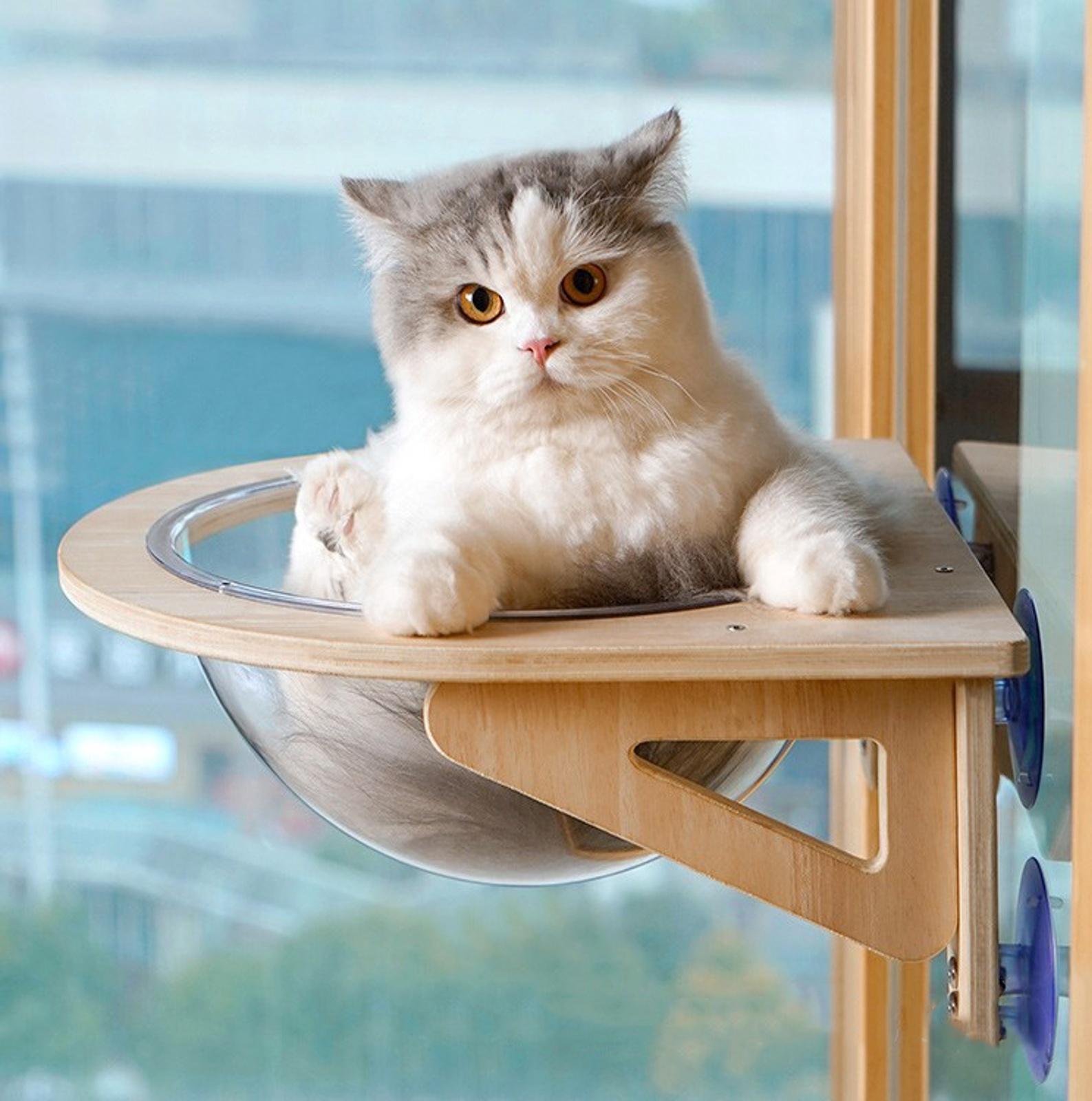 Гамак для кошки на окно, 40*40*15 см, вес до 8 кг, прозрачный