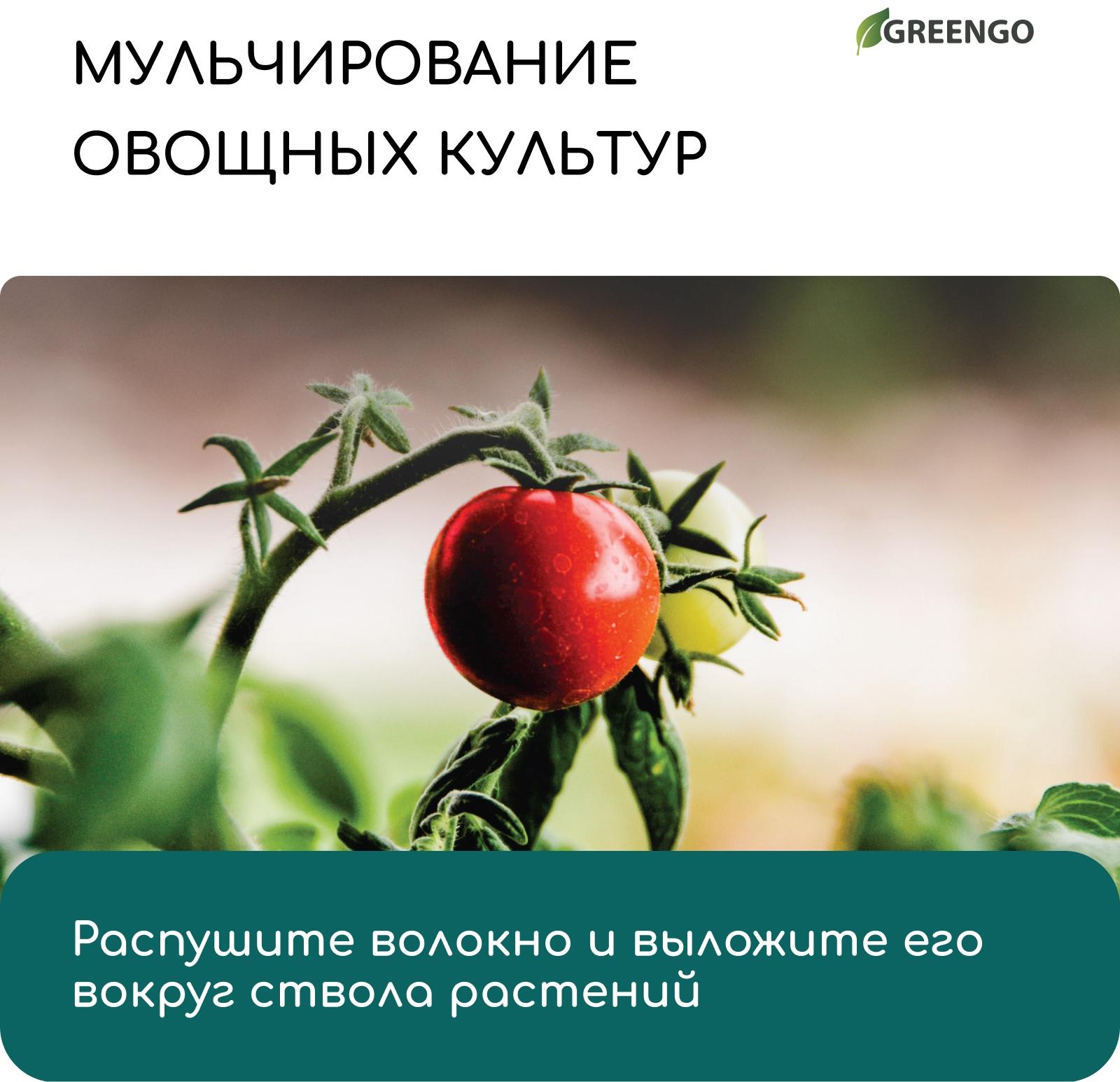 Волокно кокосовое, для мульчирования, 20 л, Greengo