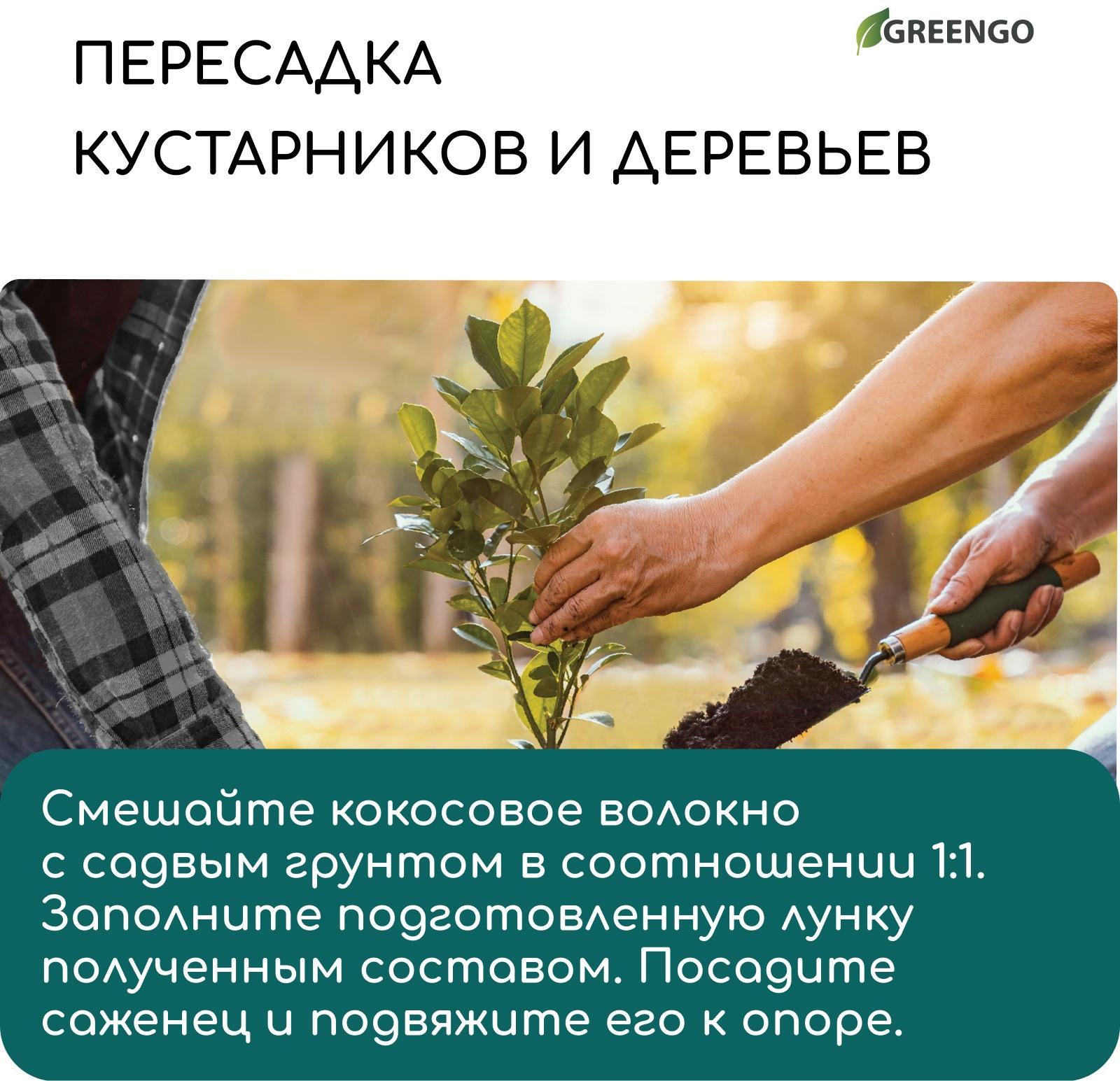 Волокно кокосовое, для мульчирования, 20 л, Greengo