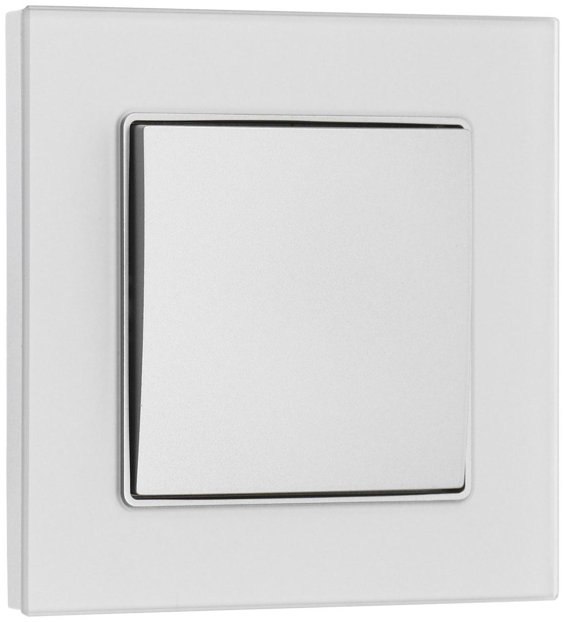 Выключатель TOT Matte Glass, 10 А, 1 кл., скрытый, стекло, серебристый
