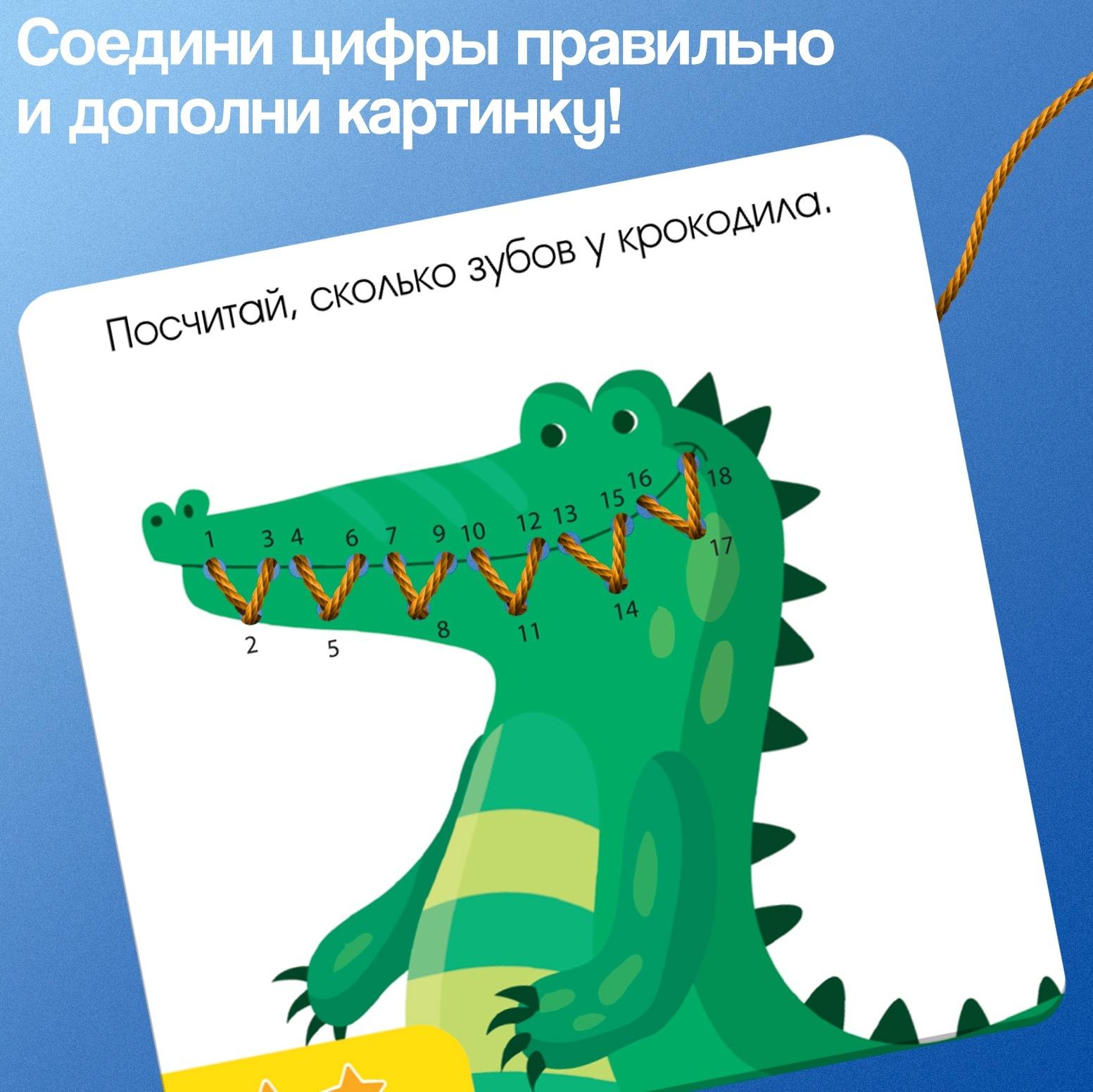 Развивающий набор «Шнуровка по номерам», 3+