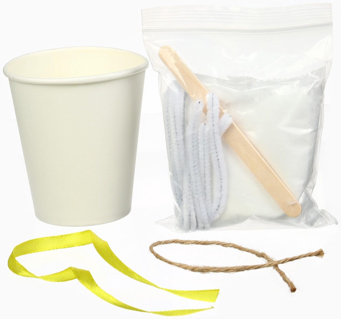 Выращивание новогодних кристаллов «Холодное сердце. Эльза», набор для опытов