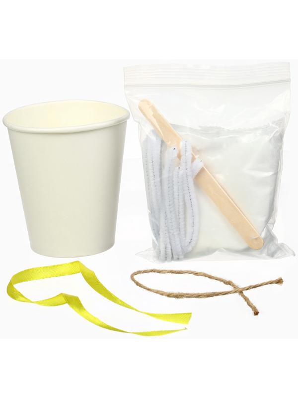 Выращивание новогодних кристаллов «Холодное сердце. Эльза», набор для опытов