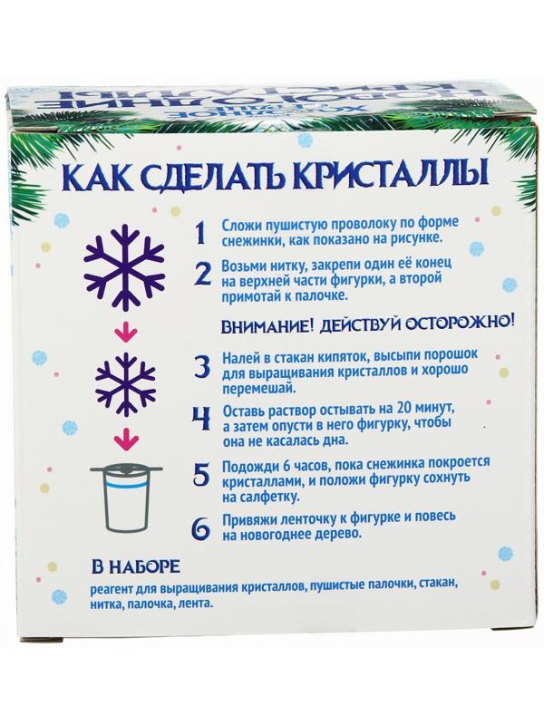 Выращивание новогодних кристаллов «Холодное сердце. Эльза», набор для опытов