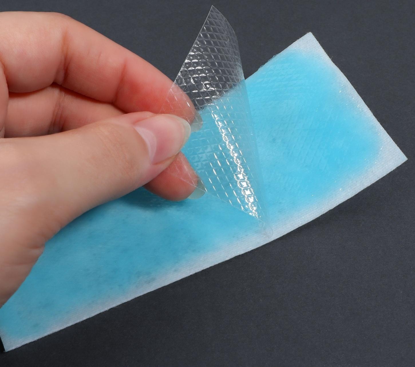 Пластина охлаждающая, набор - 5 шт, 12 × 5 см, цвет синий