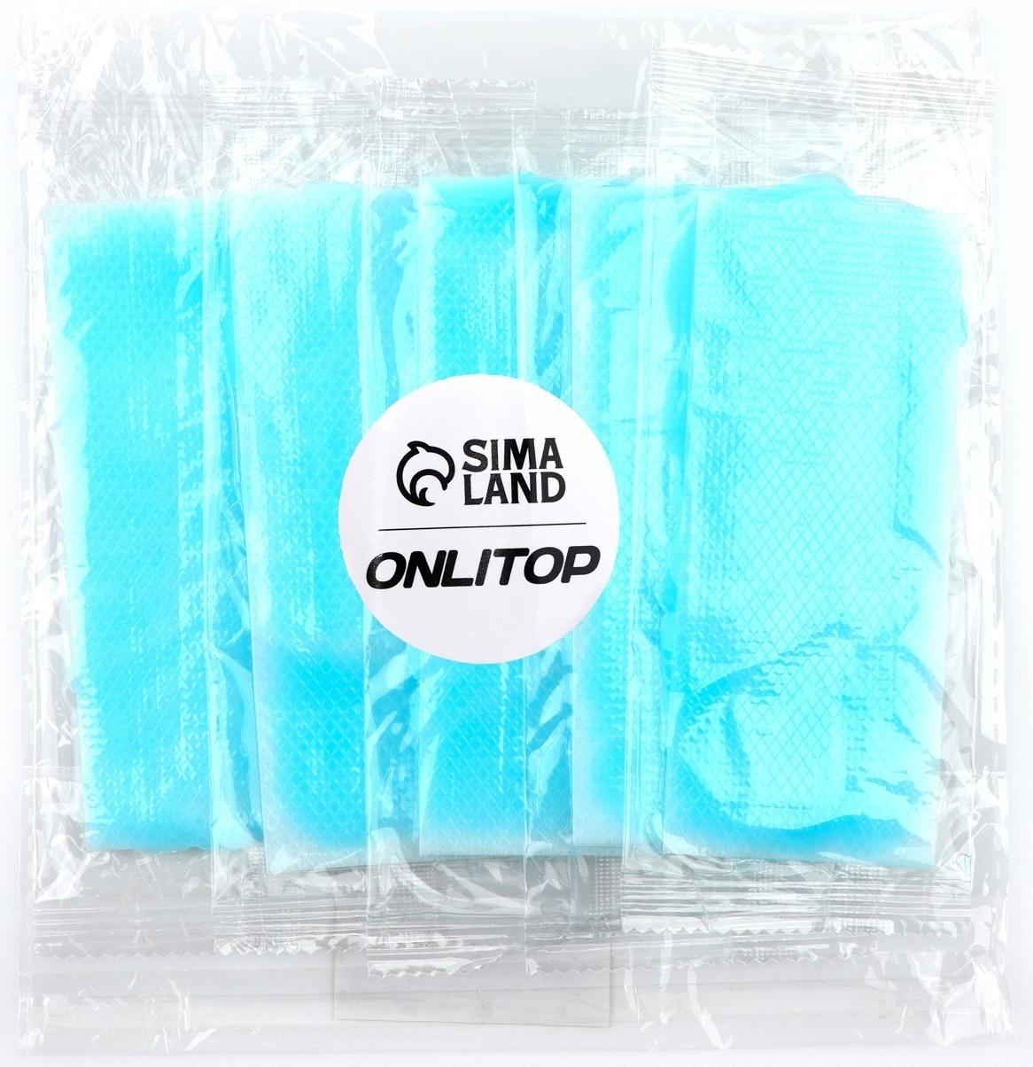 Пластина охлаждающая, набор - 5 шт, 12 × 5 см, цвет синий