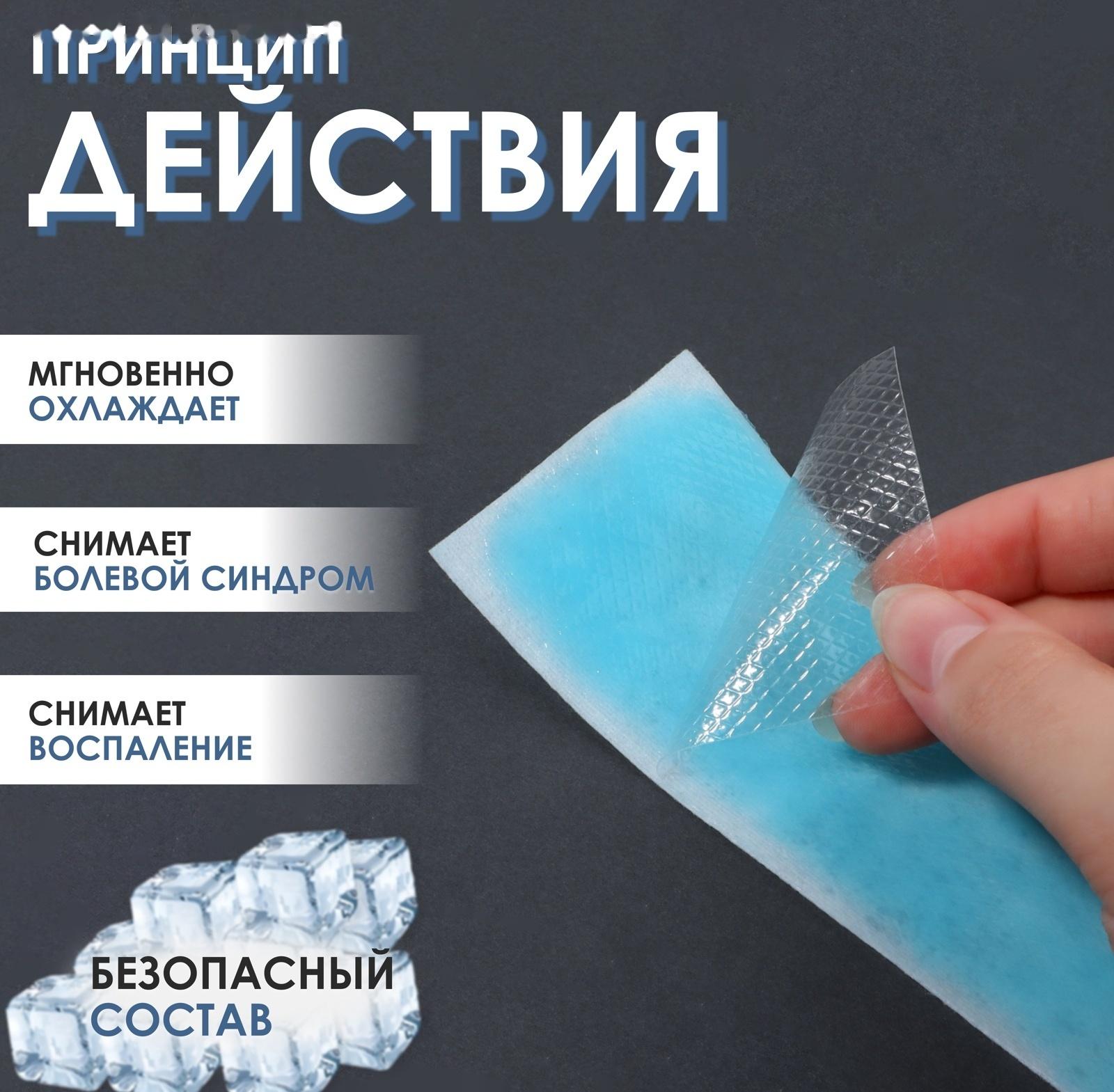 Пластина охлаждающая, набор - 5 шт, 12 × 5 см, цвет синий