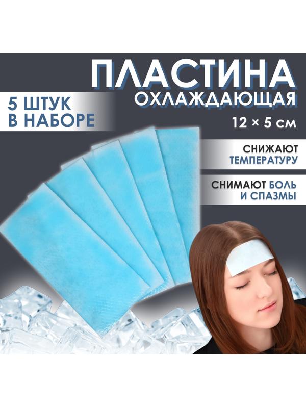 Пластина охлаждающая, набор - 5 шт, 12 × 5 см, цвет синий