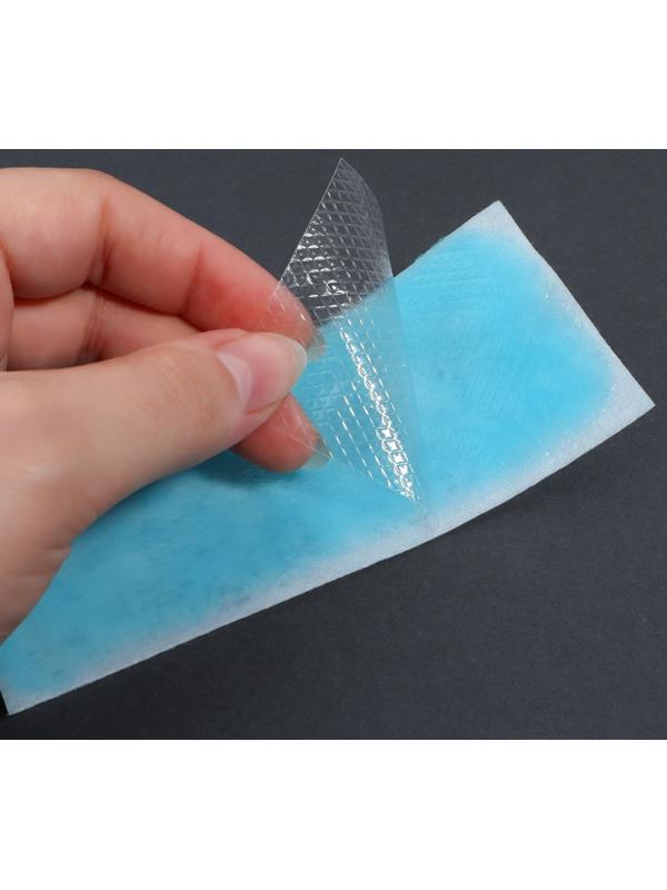 Пластина охлаждающая, набор - 5 шт, 12 × 5 см, цвет синий