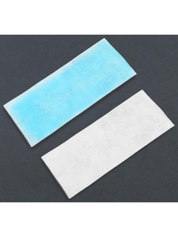 Пластина охлаждающая, набор - 5 шт, 12 × 5 см, цвет синий