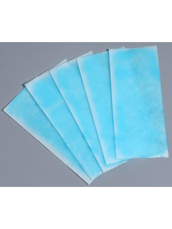 Пластина охлаждающая, набор - 5 шт, 12 × 5 см, цвет синий