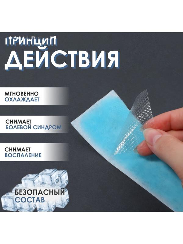 Пластина охлаждающая, набор - 5 шт, 12 × 5 см, цвет синий