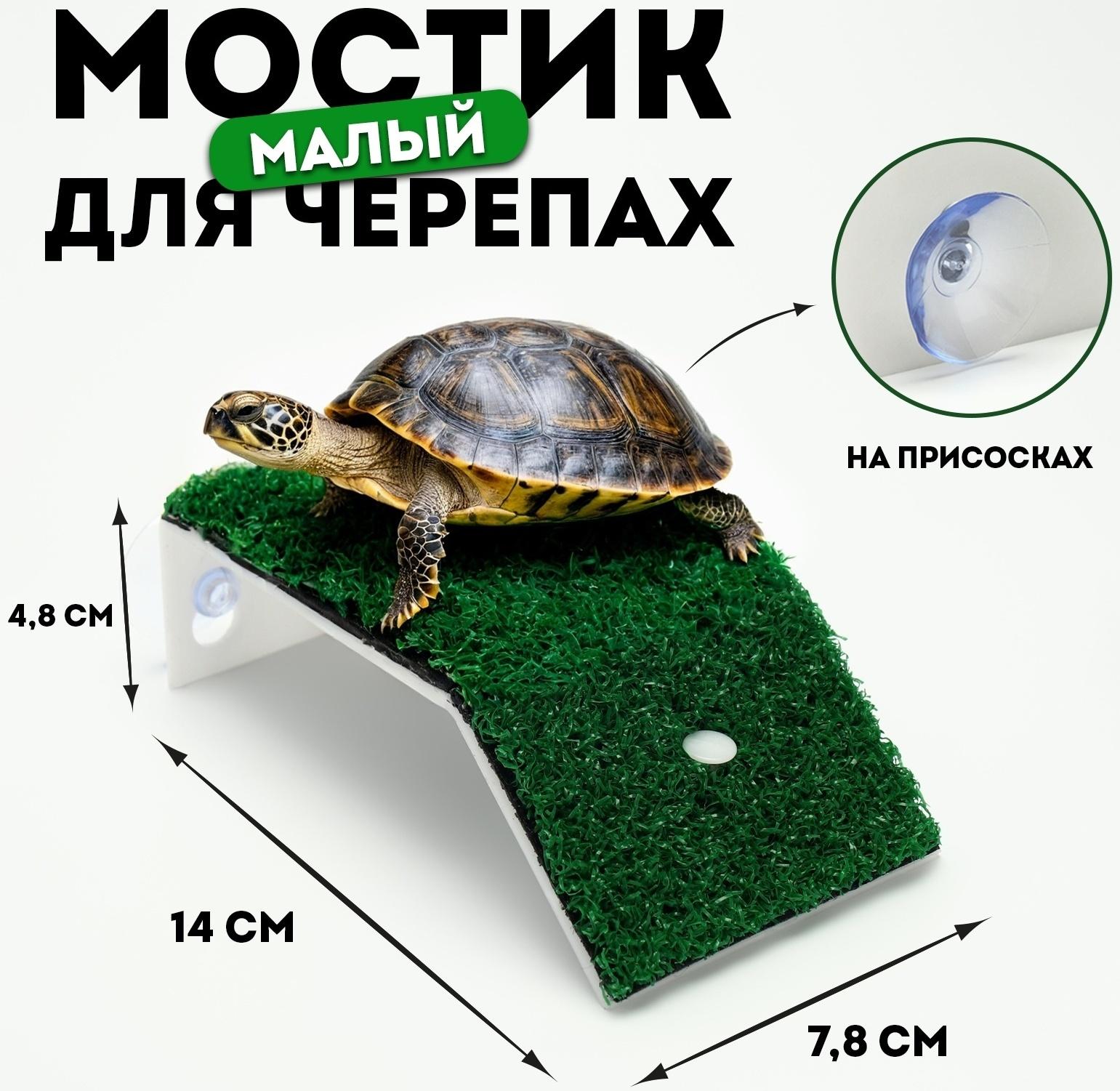 Мостик для черепах малый, на присосках, 14 х 7,8 х 4,8 см