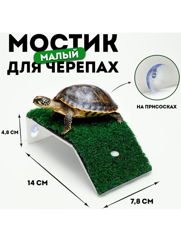 Мостик для черепах малый, на присосках, 14 х 7,8 х 4,8 см