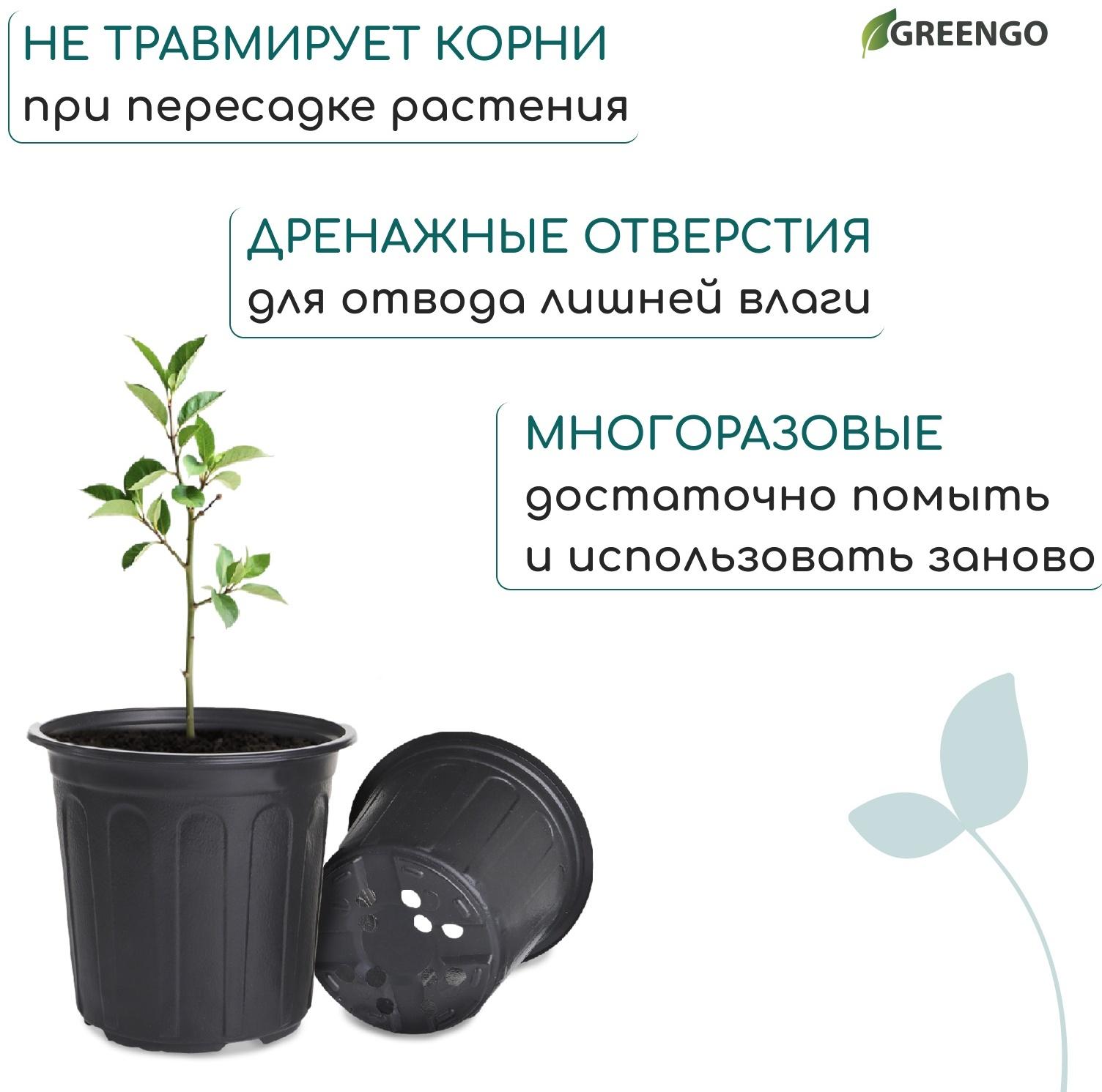 Горшок для рассады, 2 л, d=16 см, h=15 см, мягкий пластик, чёрный, Greengo