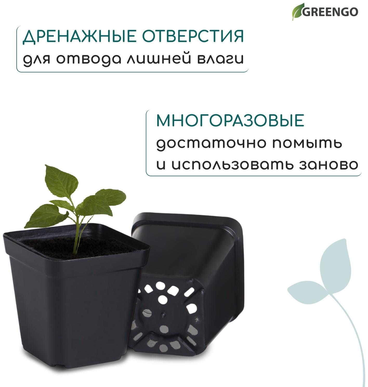 Горшок для рассады, 200 мл, d=6.5 см, h=7 см, пластик, чёрный, Greengo