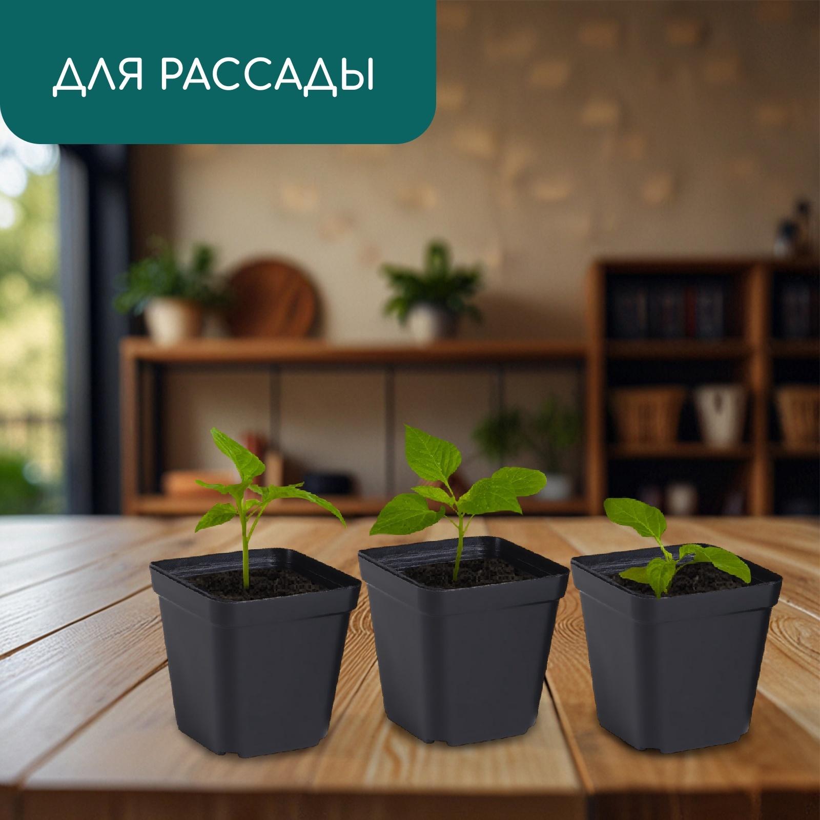 Горшок для рассады, 200 мл, d=6.5 см, h=7 см, пластик, чёрный, Greengo