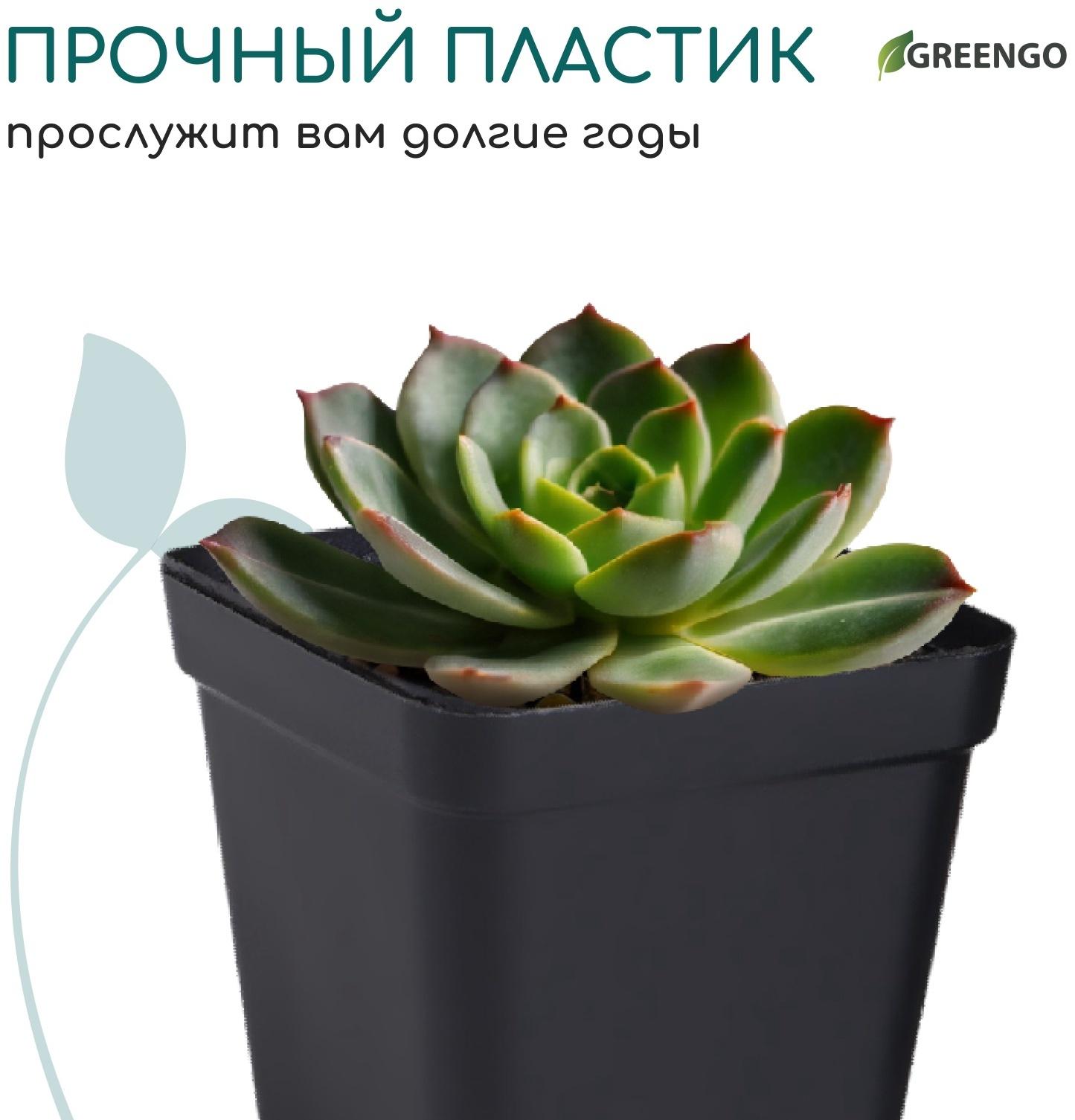 Горшок для рассады, 200 мл, d=6.5 см, h=7 см, пластик, чёрный, Greengo