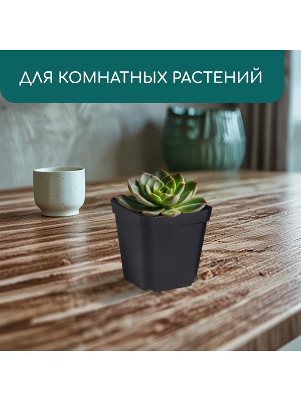 Горшок для рассады, 200 мл, d=6.5 см, h=7 см, пластик, чёрный, Greengo
