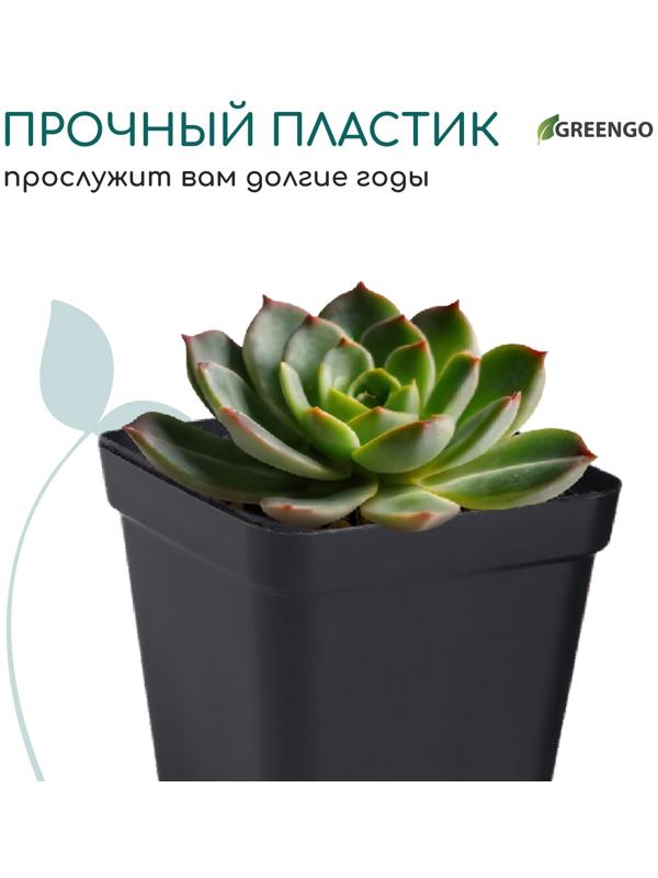 Горшок для рассады, 200 мл, d=6.5 см, h=7 см, пластик, чёрный, Greengo