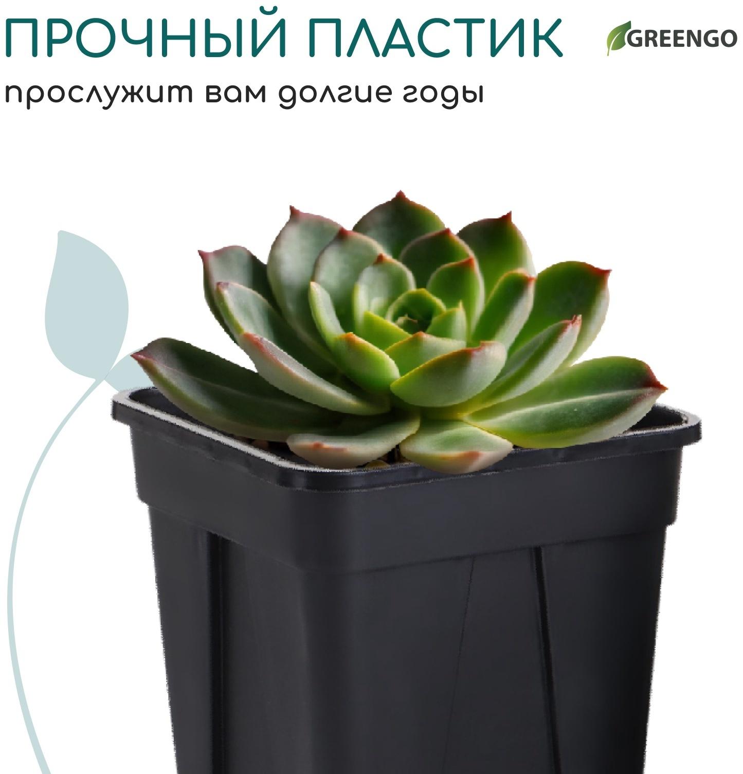 Горшок для рассады, 250 мл, d=6.7 см, h=8 см, пластик, чёрный, Greengo