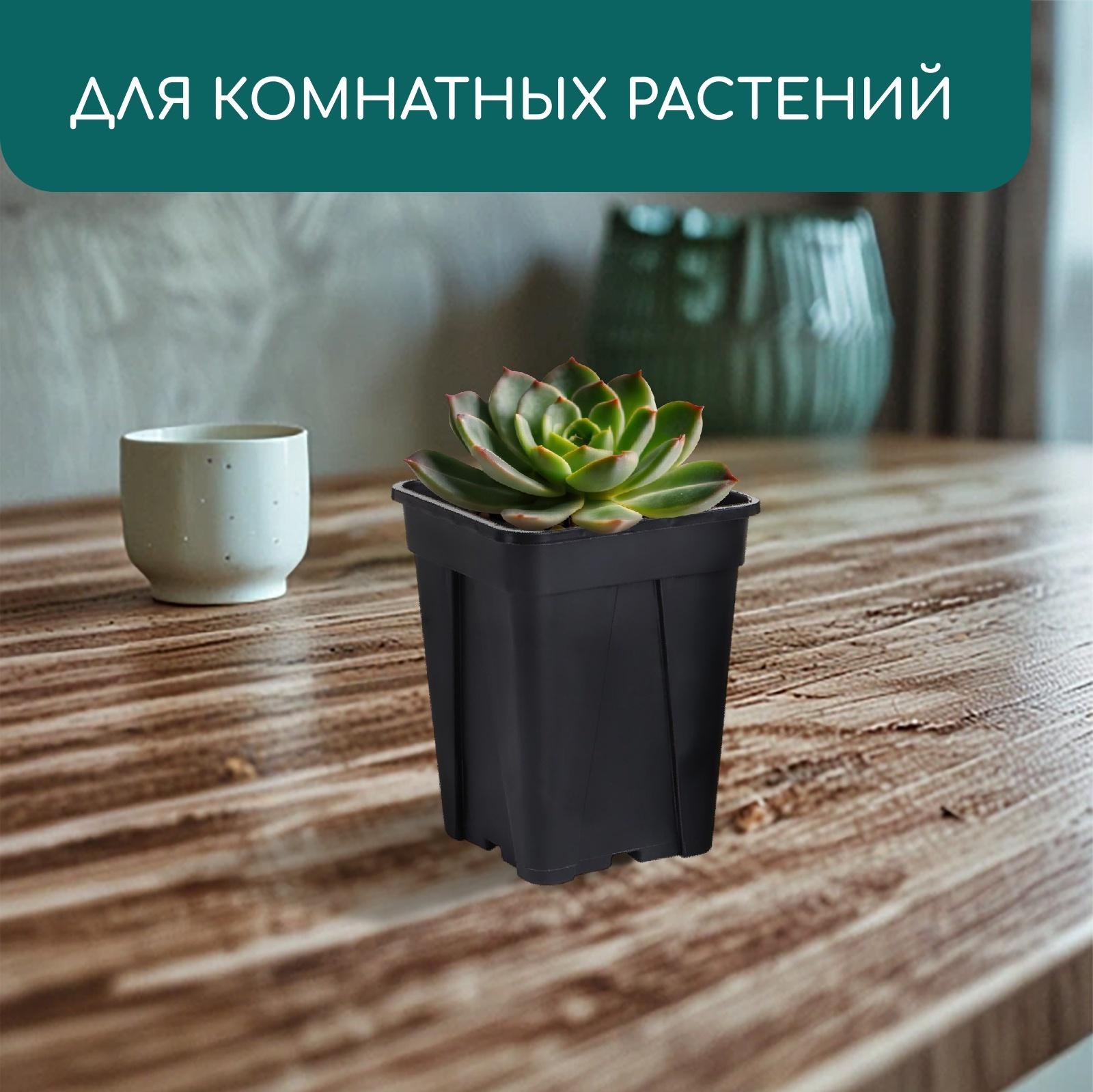 Горшок для рассады, 250 мл, d=6.7 см, h=8 см, пластик, чёрный, Greengo