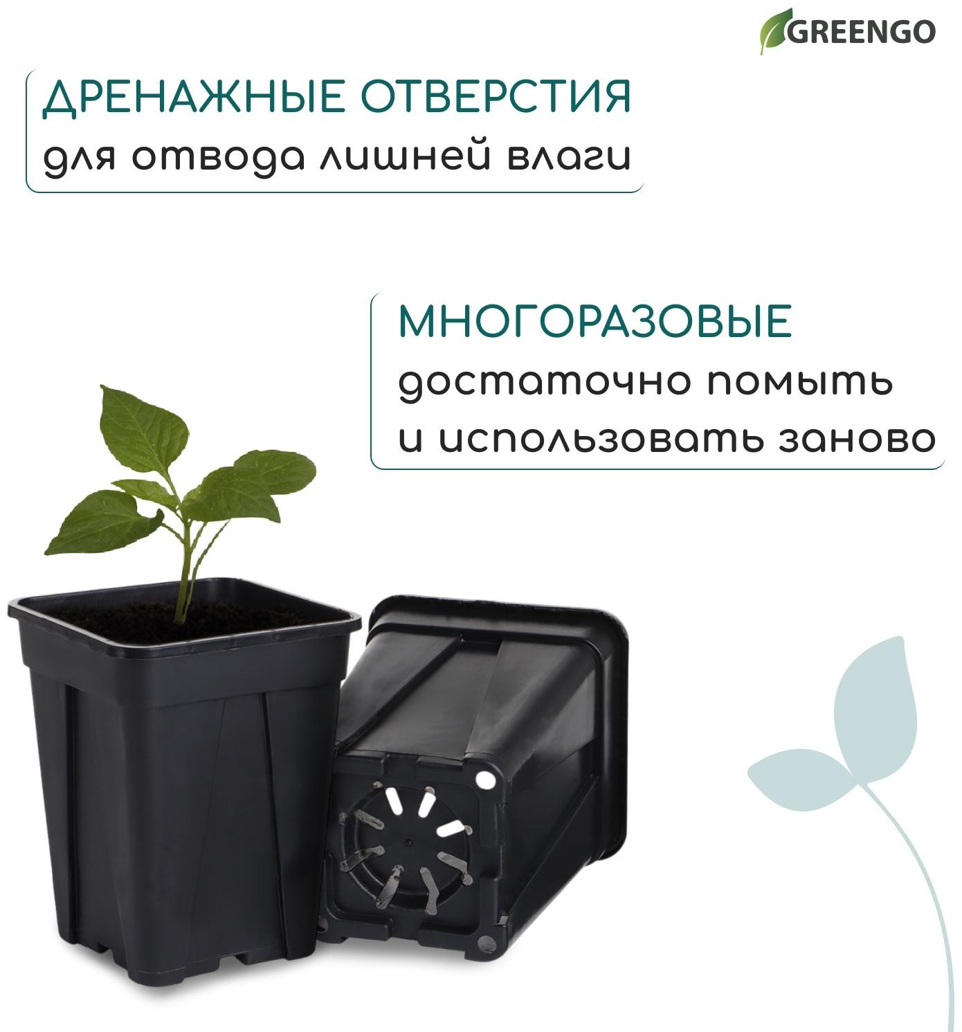 Горшок для рассады, 250 мл, d=6.7 см, h=8 см, пластик, чёрный, Greengo