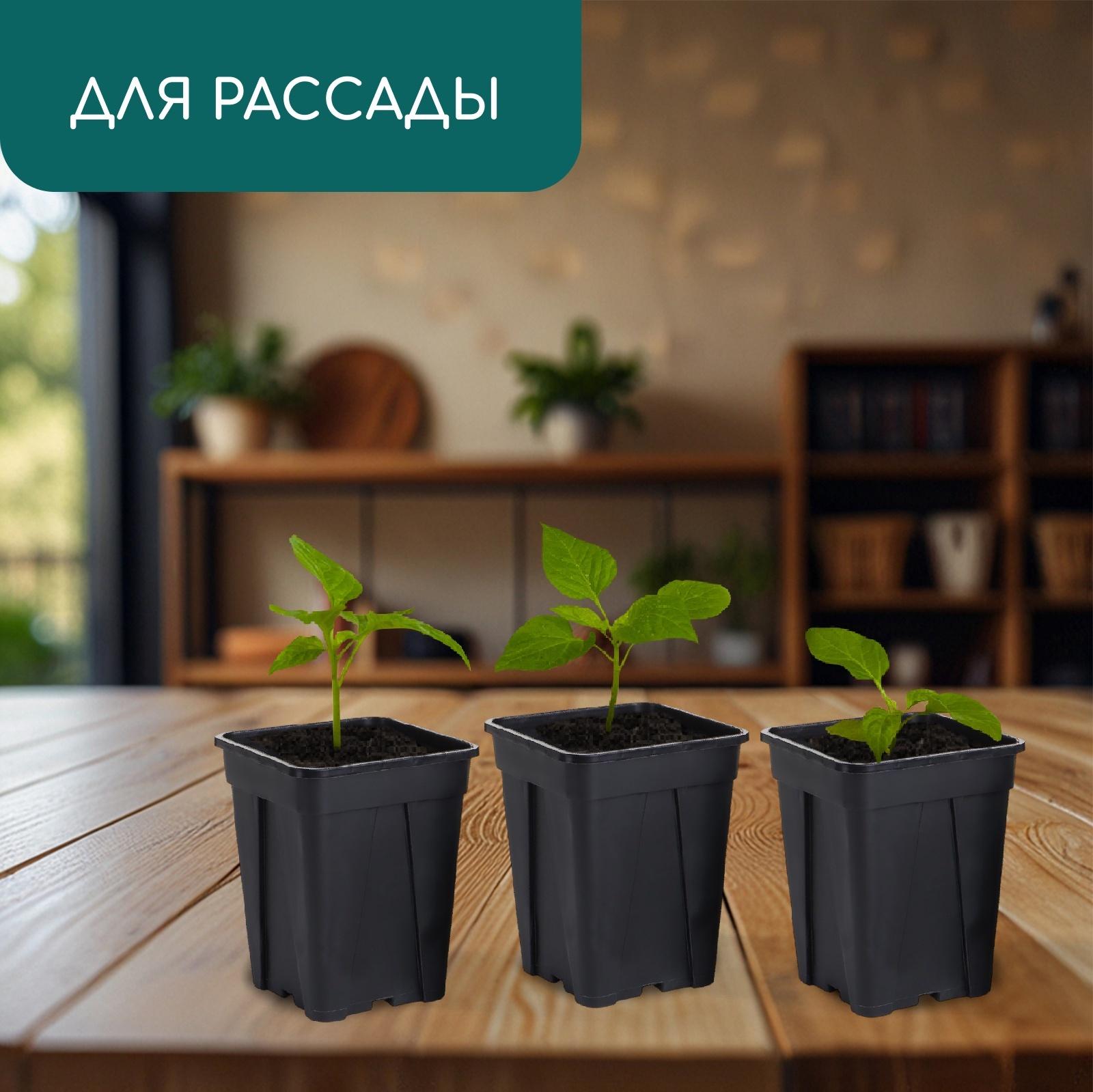 Горшок для рассады, 250 мл, d=6.7 см, h=8 см, пластик, чёрный, Greengo