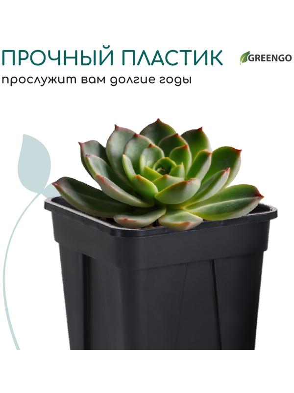 Горшок для рассады, 250 мл, d=6.7 см, h=8 см, пластик, чёрный, Greengo