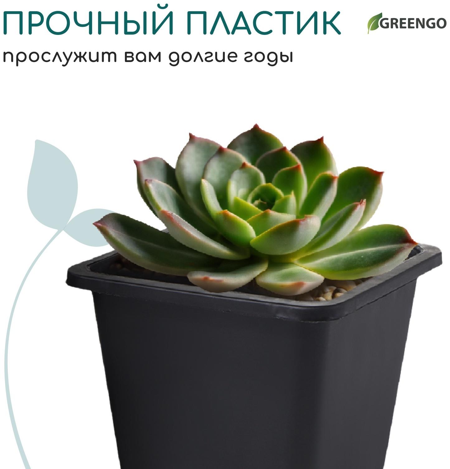 Горшок для рассады, 250 мл, d=9 см, h=8 см, пластик, чёрный, Greengo