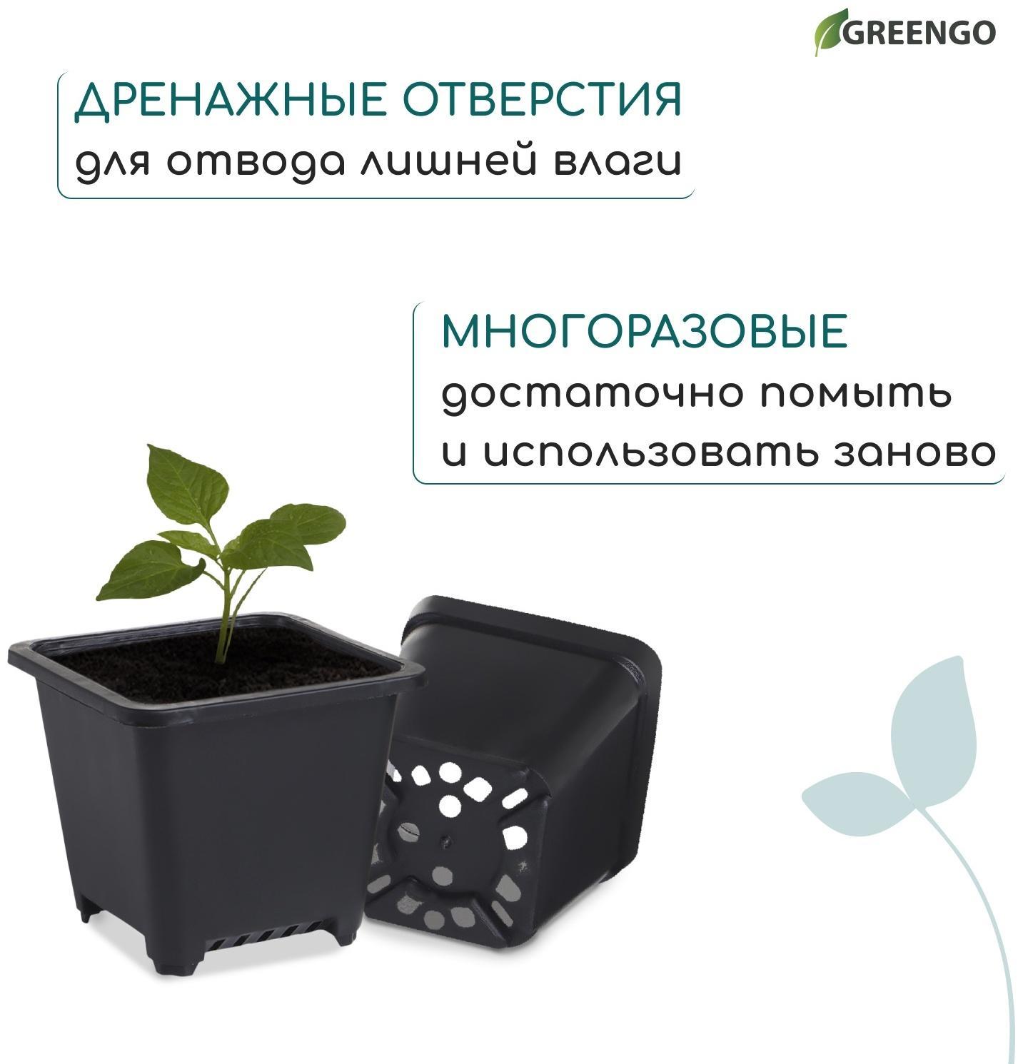 Горшок для рассады, 250 мл, d=9 см, h=8 см, пластик, чёрный, Greengo