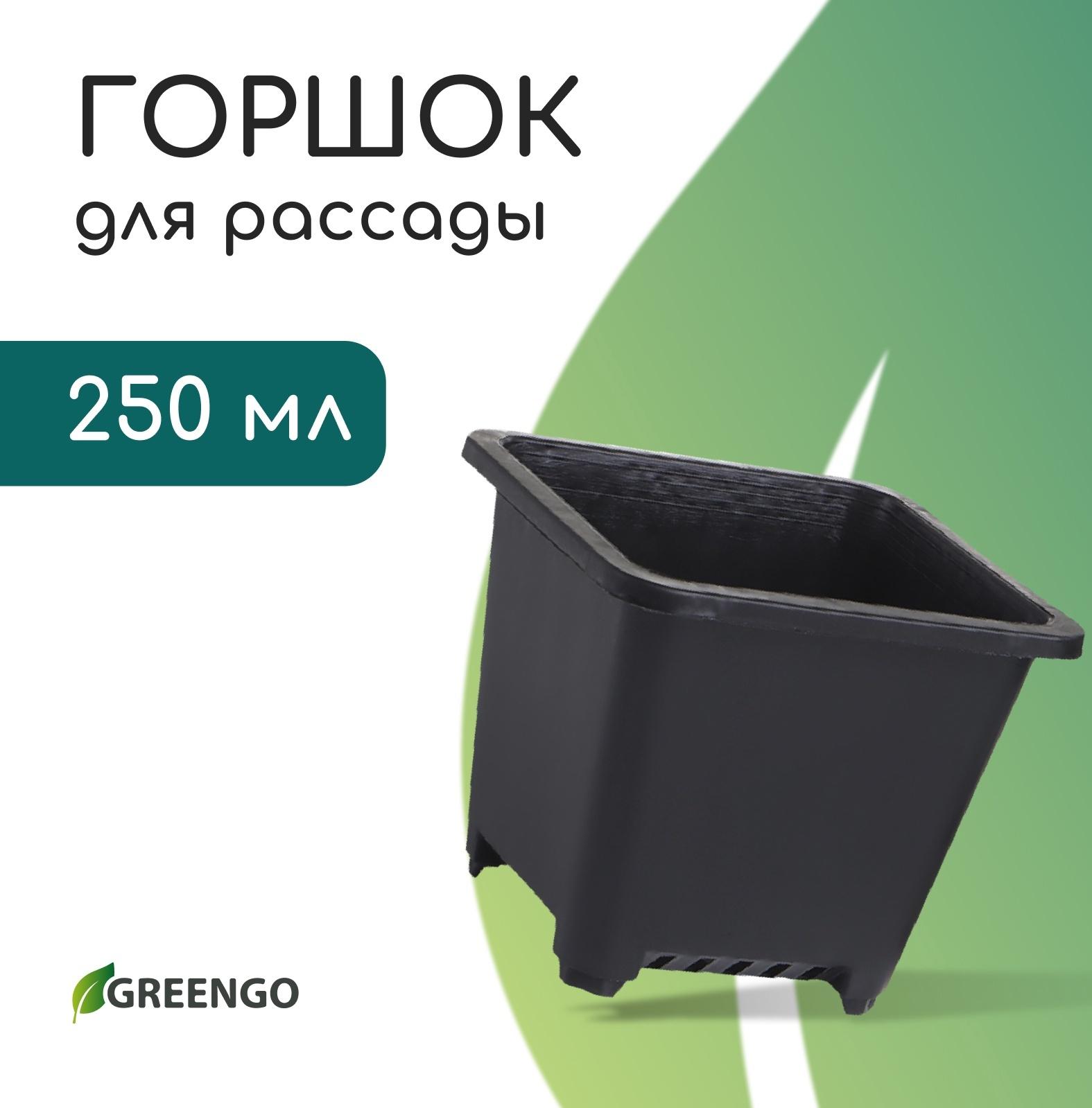 Горшок для рассады, 250 мл, d=9 см, h=8 см, пластик, чёрный, Greengo
